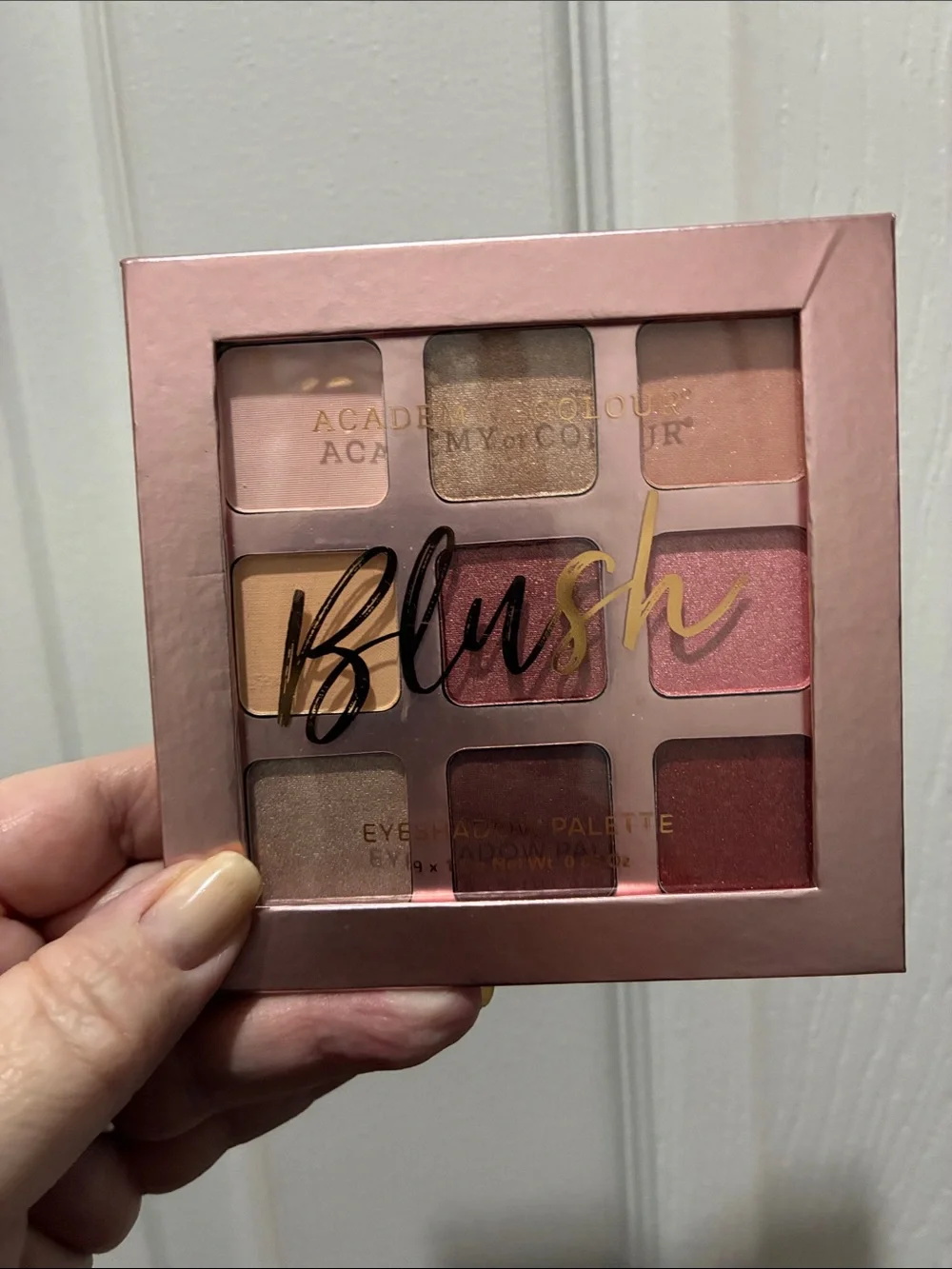 Academy of Colors Blush Eyeshadow Palette